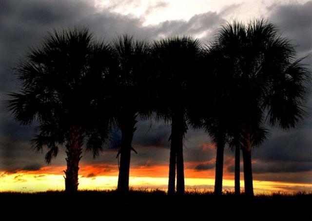 Coral Breeze By Albvr - Pet Friendly 3br, 2ba House - Just Steps To The *