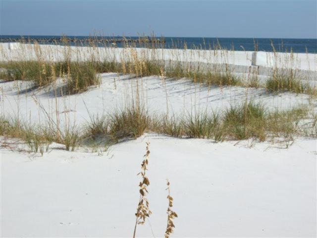 Coral Breeze By Albvr - Pet Friendly 3br, 2ba House - Just Steps To The